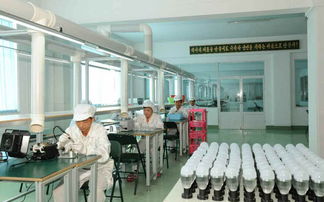朝鮮新能源LED照明產品實現產銷一體化（二） 從節能到創匯的戰略轉型
